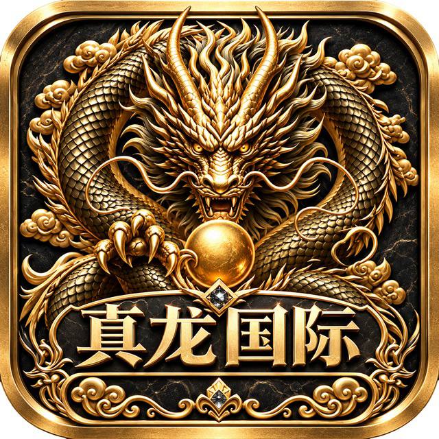 真龙国际